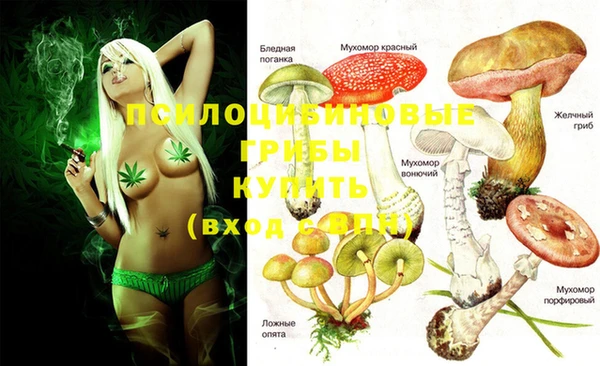 ешки Алексеевка