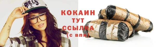 СК Алзамай