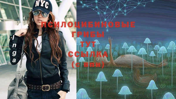 ешки Алексеевка