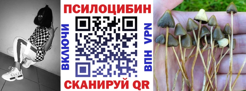 Псилоцибиновые грибы прущие грибы  наркотики  Бердск 